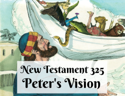 NT 325 - Peter's Vision